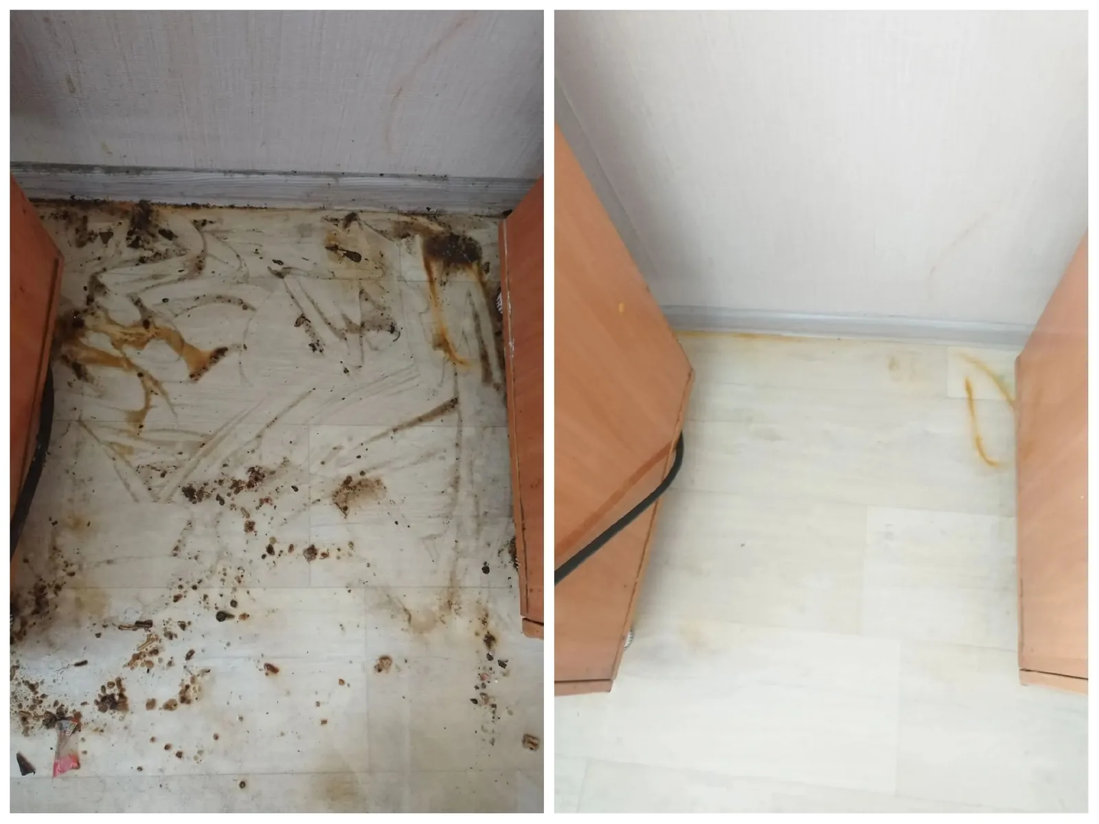 Коридор возле шкафа до и после глубокой уборки 1-комнатной квартиры 38 м² в Барнауле